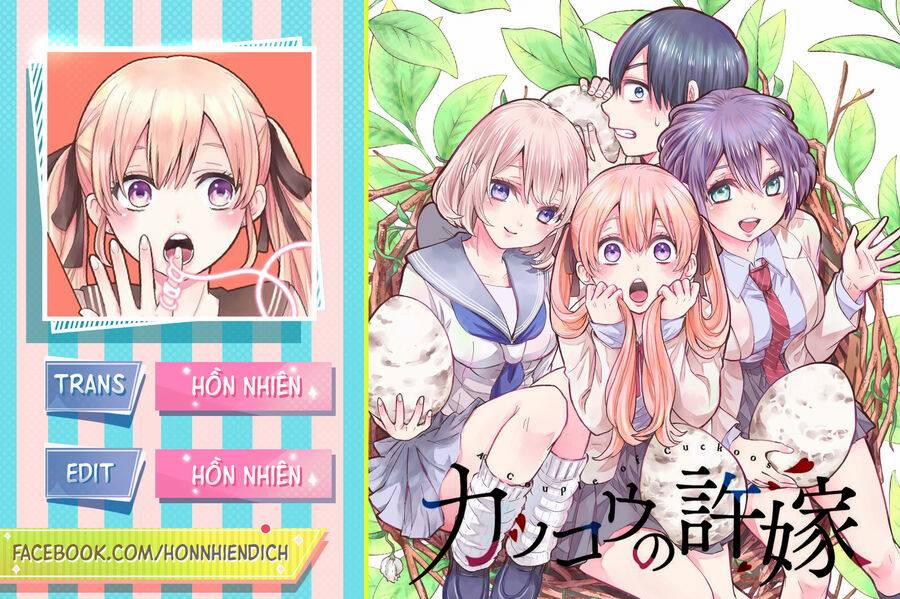Kakkou No Iinazuke 174 trang 0