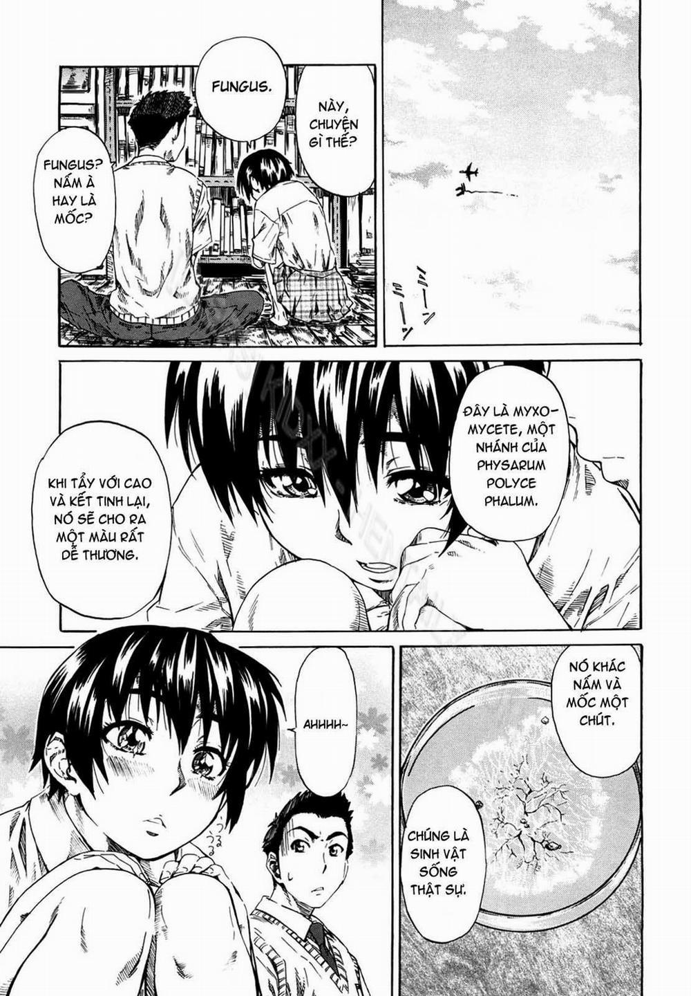 Kanojo ga Kimi o Suki ni Natta Wake 3 trang 2