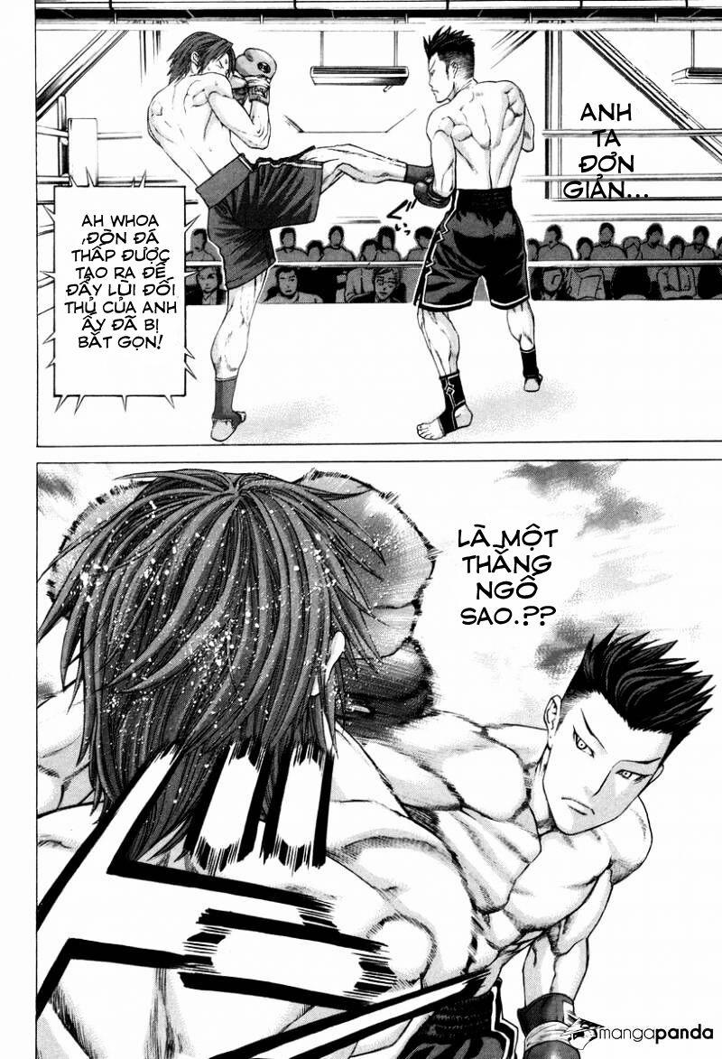 Karate Shoukoushi Kohinata Minoru 325 trang 11