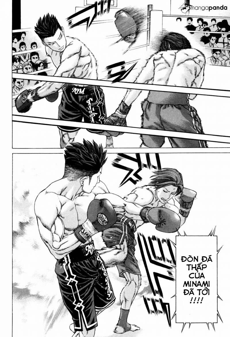 Karate Shoukoushi Kohinata Minoru 325 trang 17