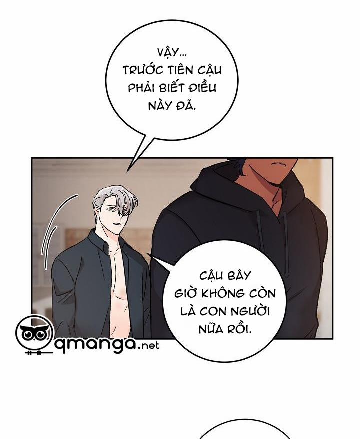 Kẻ cắp Mặt Trăng 41 trang 7