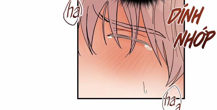 Kẻ cắp Mặt Trăng 47 trang 14