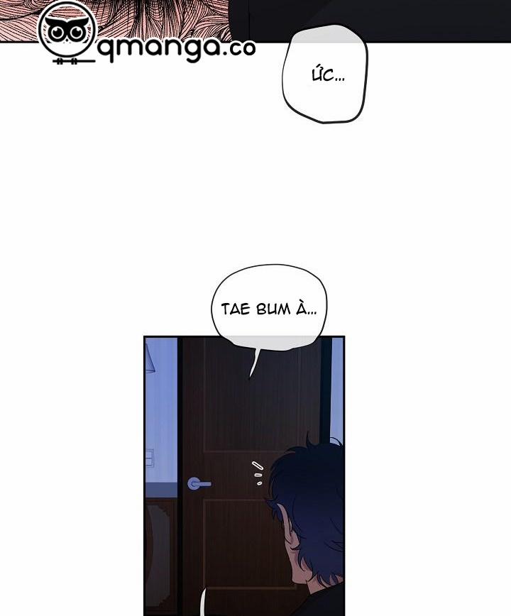 Kẻ cắp Mặt Trăng 54 trang 41
