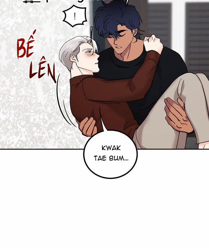 Kẻ cắp Mặt Trăng 54 trang 47