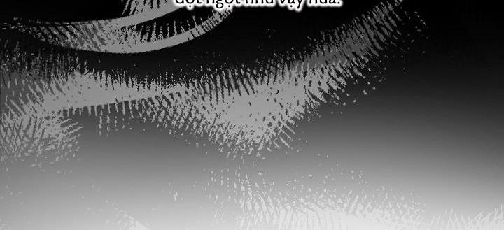 Kẻ cắp Mặt Trăng 61 trang 56