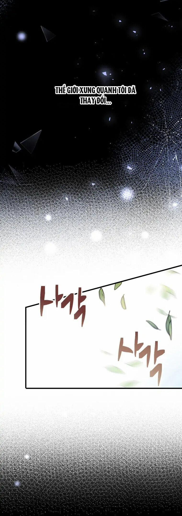 Kế Hoạch B 40 trang 4