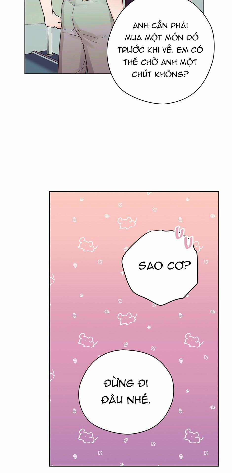 Kế Hoạch Kết Hôn 19.1 trang 31