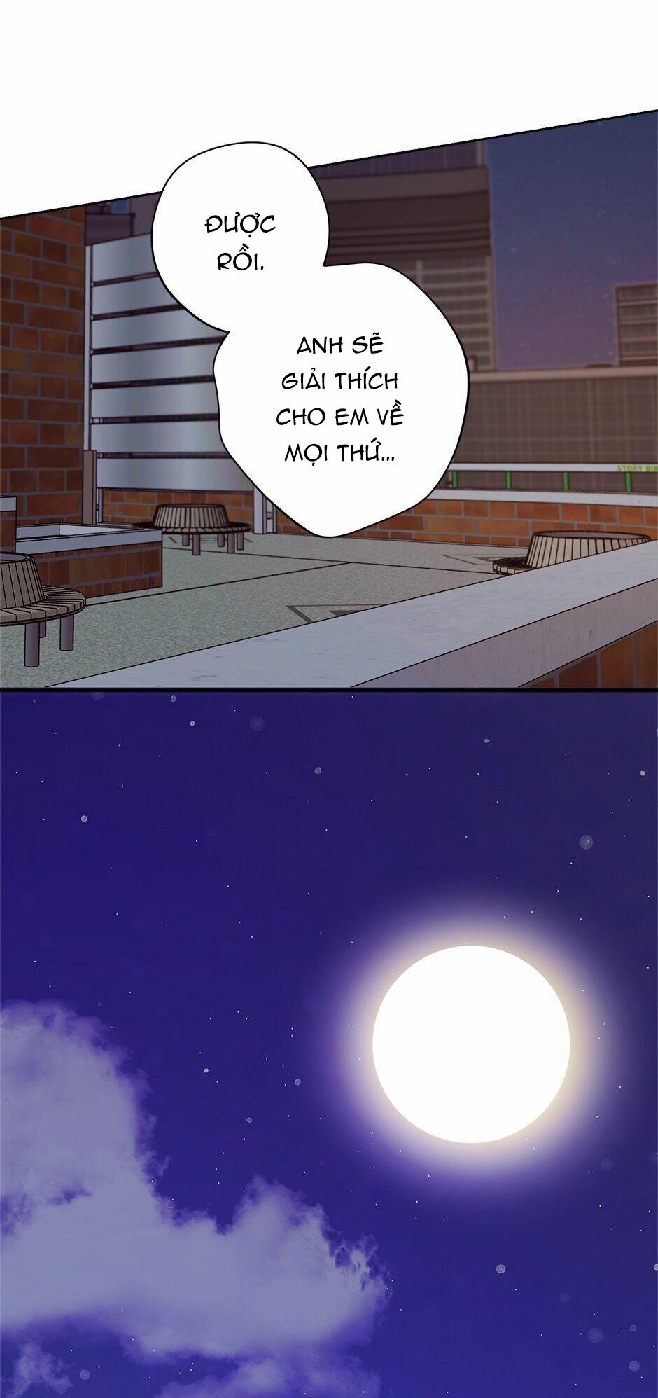 Kế Hoạch Kết Hôn 24.1 trang 23