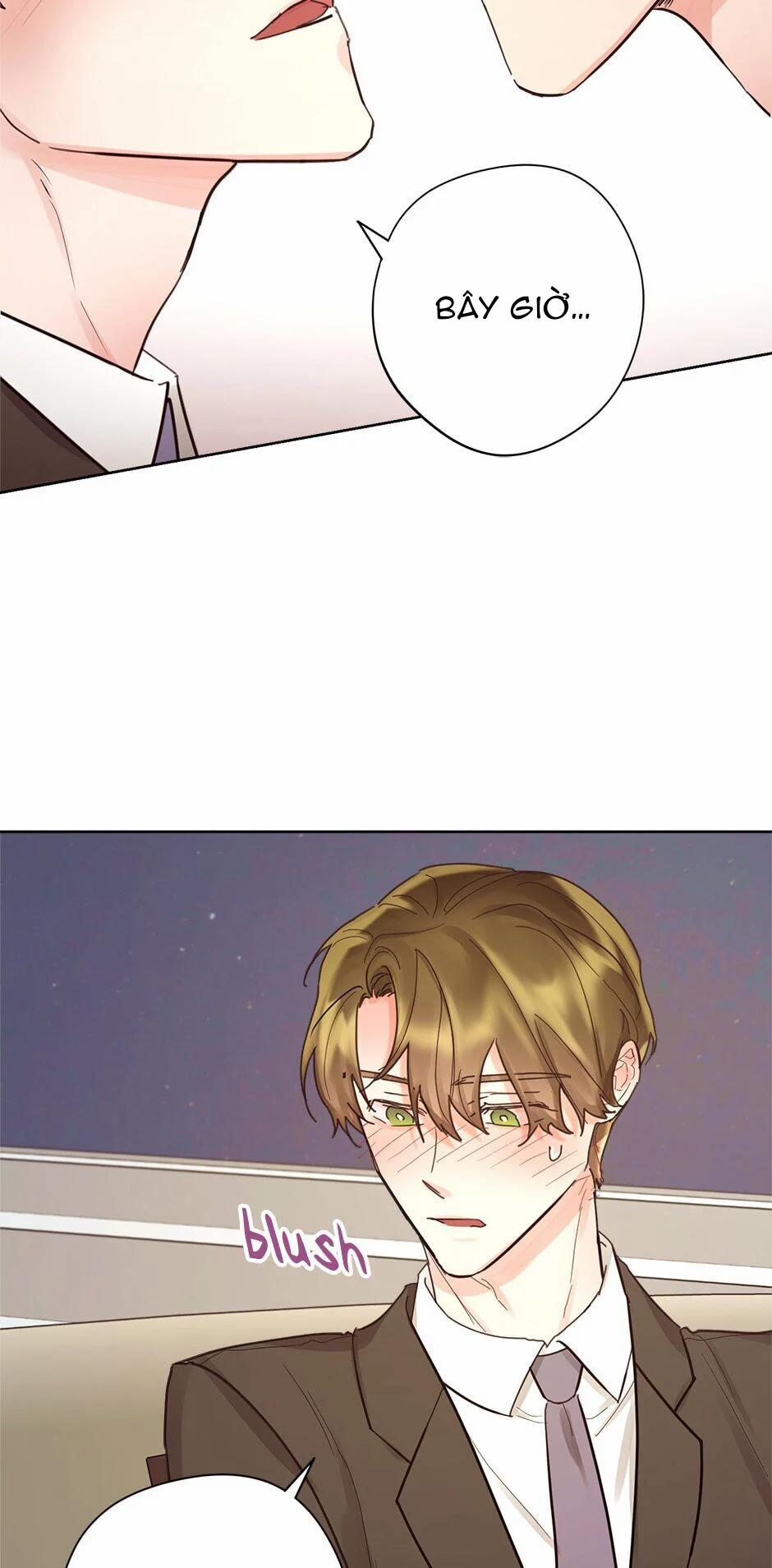 Kế Hoạch Kết Hôn 24.2 trang 12