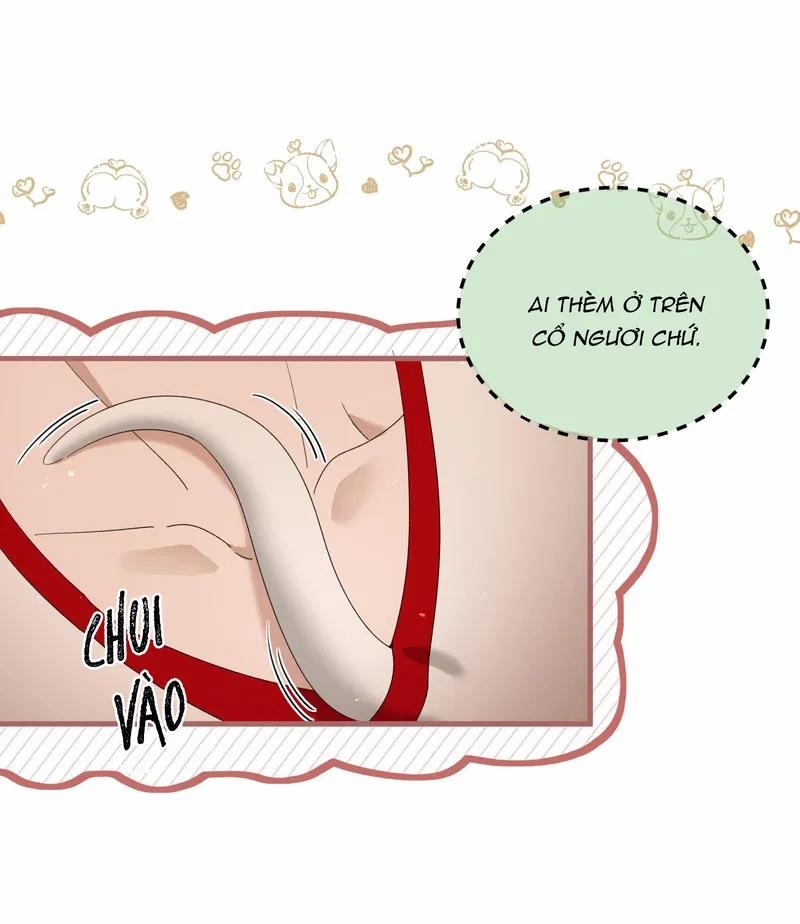 Kế Hoạch Tẩu Thoát 29 trang 24