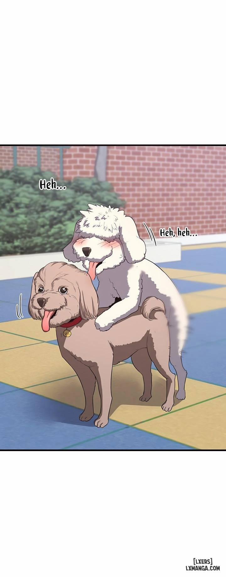 Kế hoạch trao đổi mẹ 5.0 trang 12