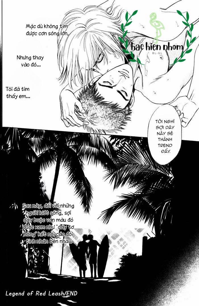 Kẻ nghiện lướt sóng 1 trang 36