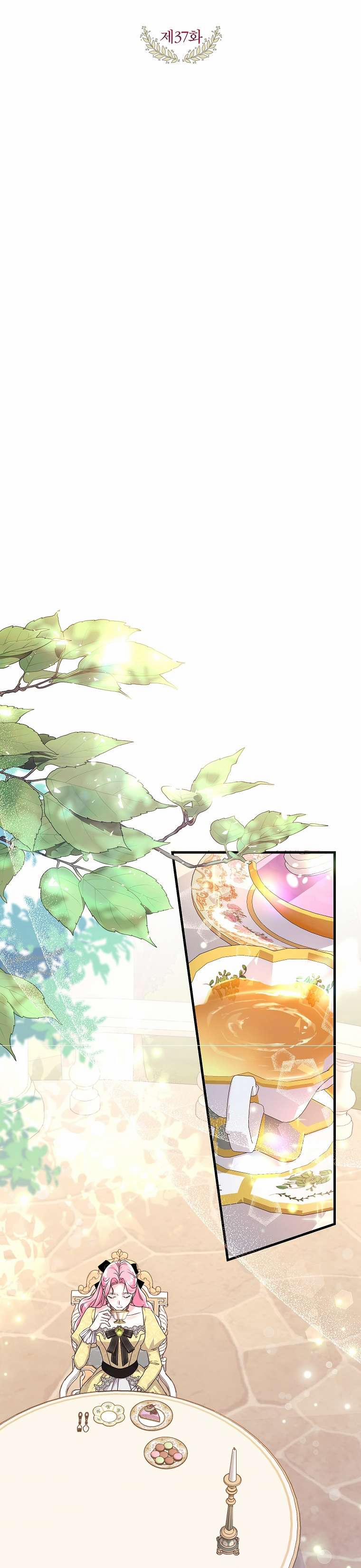 Kẻ Phản Diện Có Thời Hạn Ủng Hộ Tôi Hủy Hôn 37 trang 14