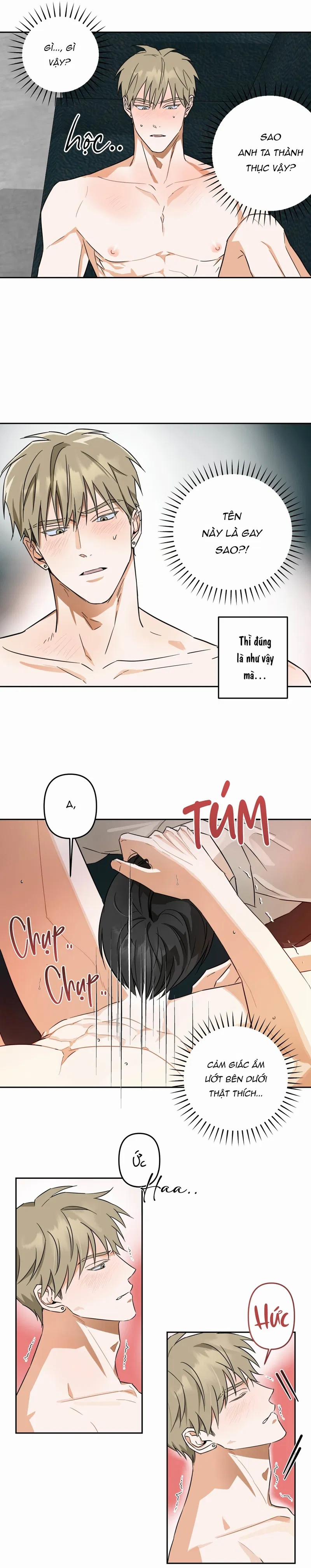 Kẻ Rác Rưởi Không Cần Được Vứt Bỏ 4 trang 11