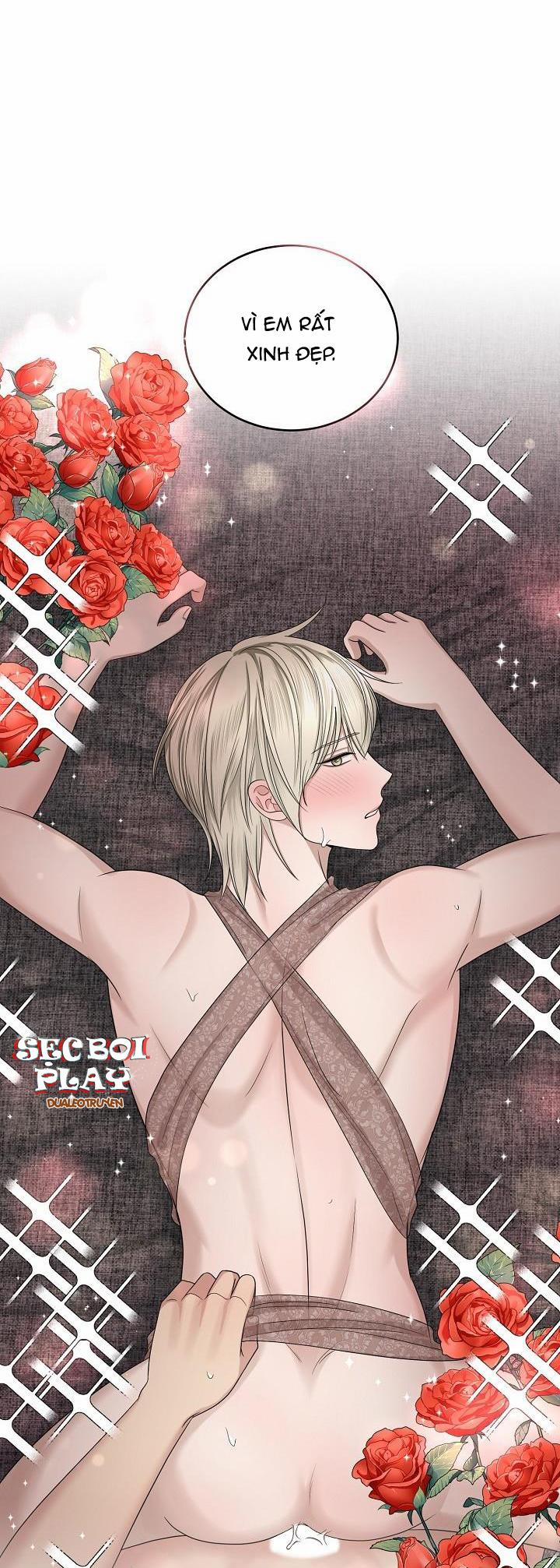 KẺ SƯU TẬP 10 trang 39