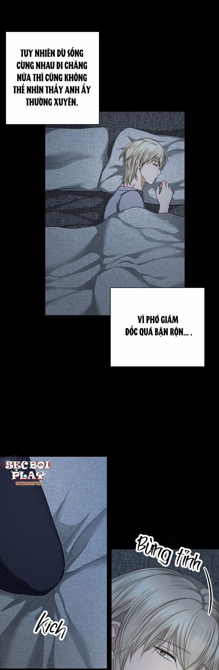 KẺ SƯU TẬP 11 trang 10