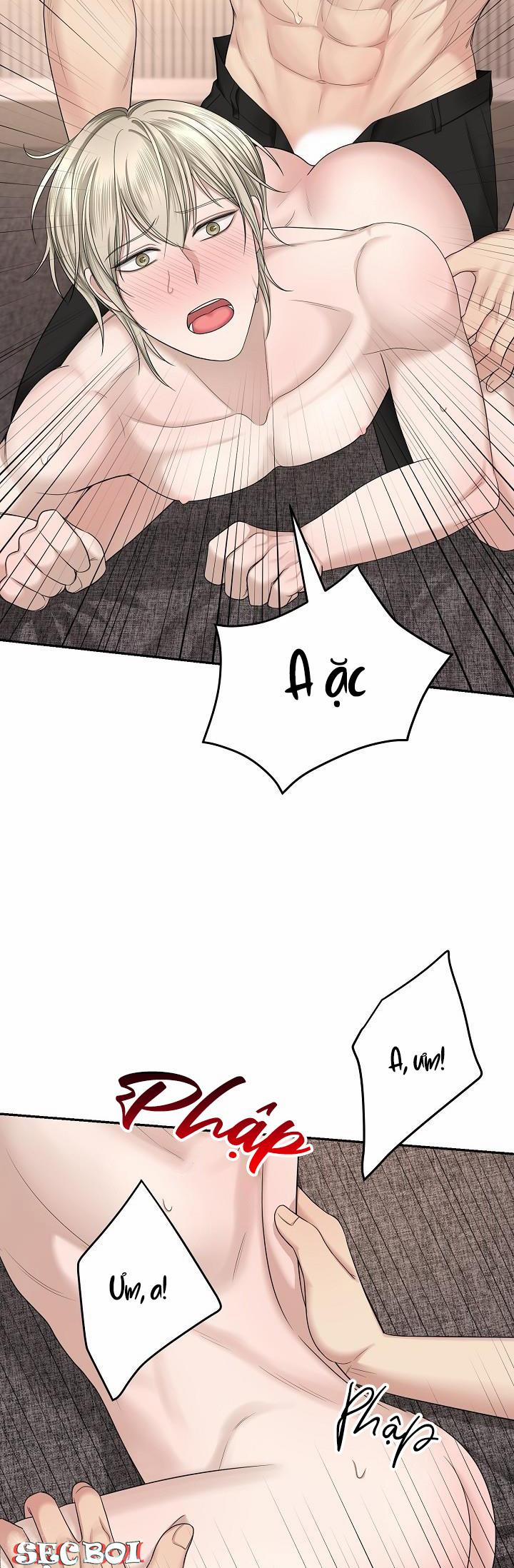 KẺ SƯU TẬP 8 trang 32