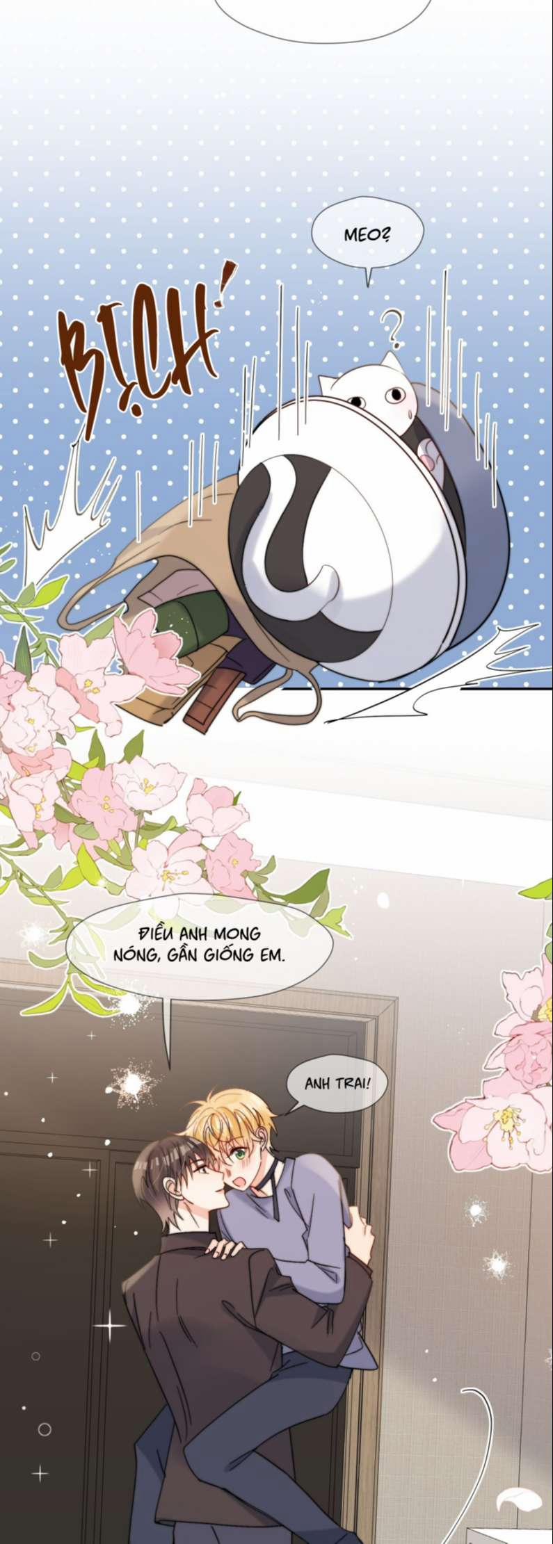 Kem Bơ Chất Lượng Kém 60 trang 20