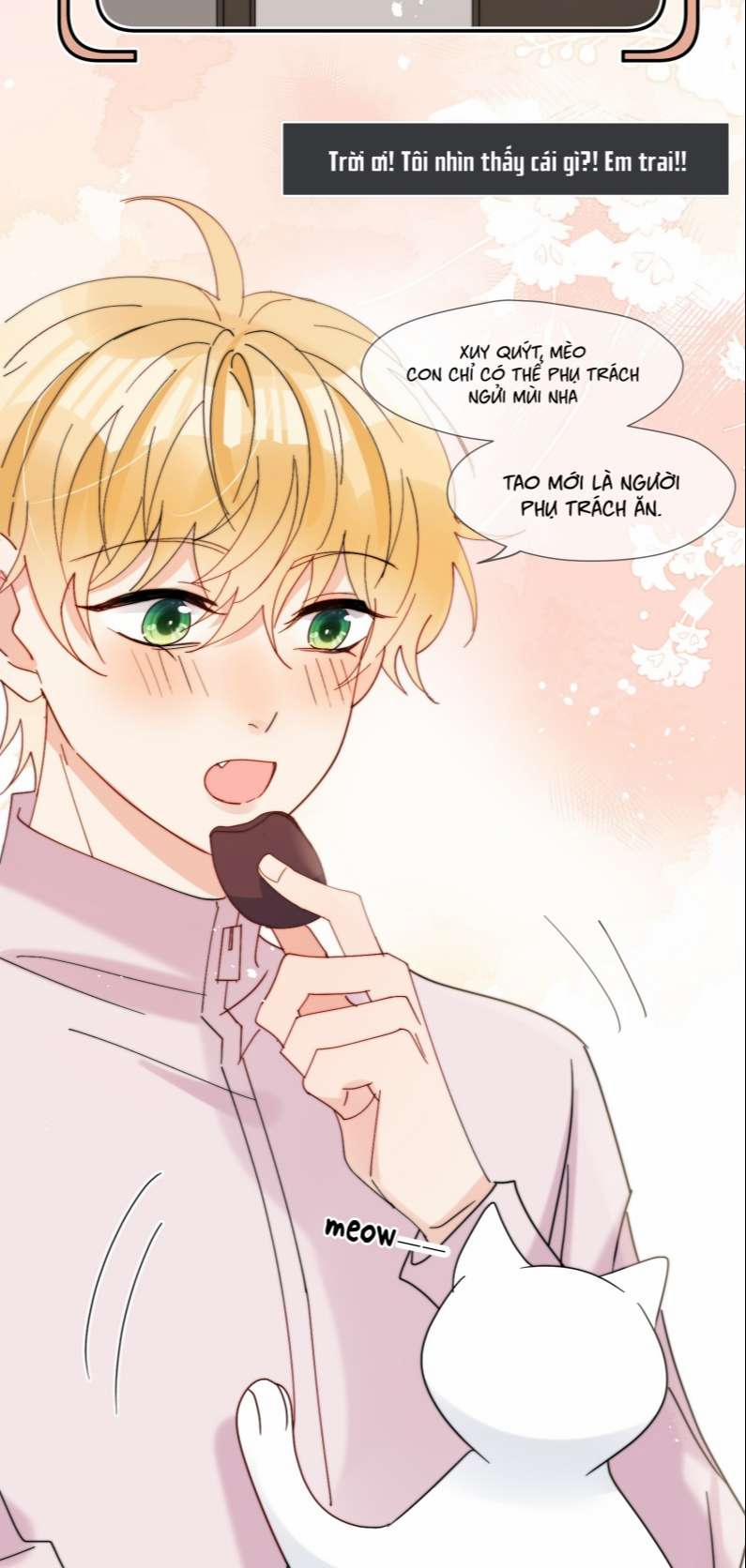 Kem Bơ Chất Lượng Kém 62 trang 13