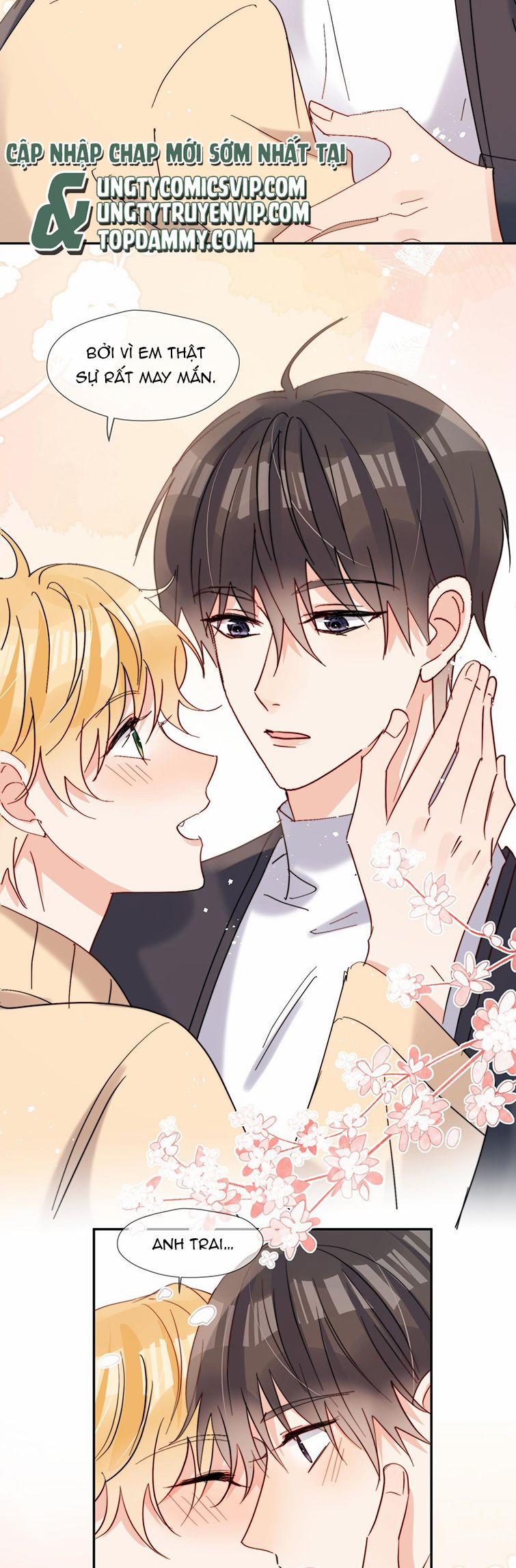 Kem Bơ Chất Lượng Kém 66 trang 16