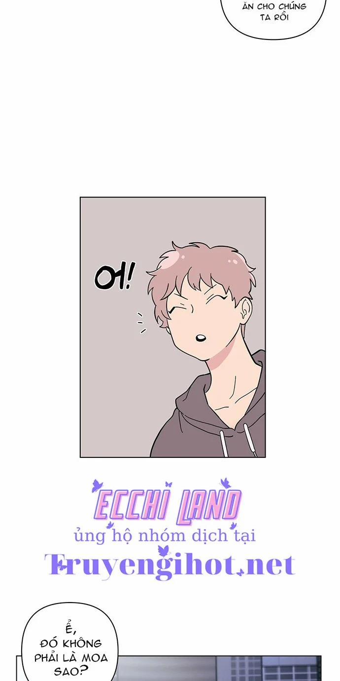 Kem Trái Cây Vị Đào 19.2 trang 15