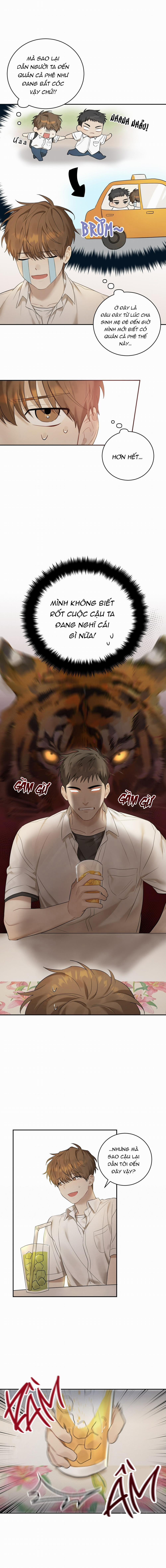 Kẹo Mận Tình Yêu 1 trang 12