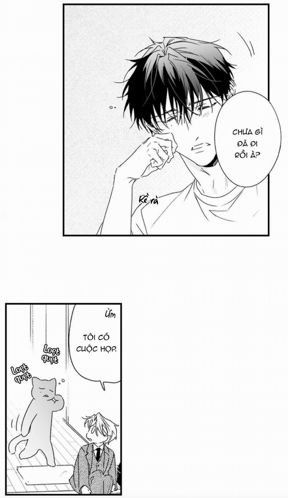 Kết Hôn Cùng Tên Đồng Nghiệp Đáng Ghét 12 trang 10