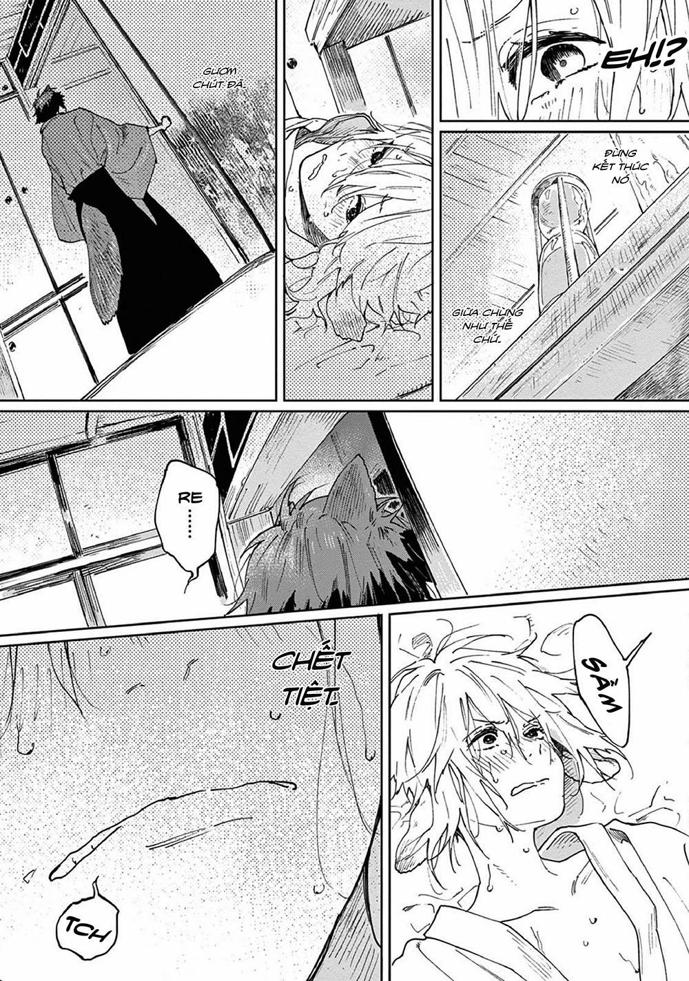 Kết Hôn Với Chàng Sói 5 trang 28