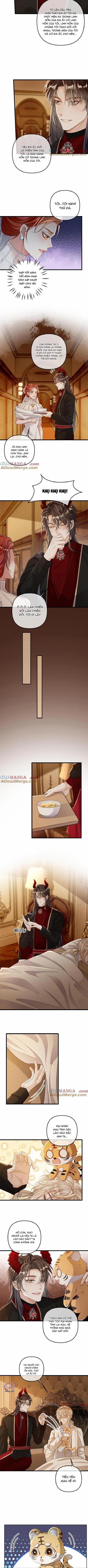Khát Vọng Ngọt Ngào 315 trang 1