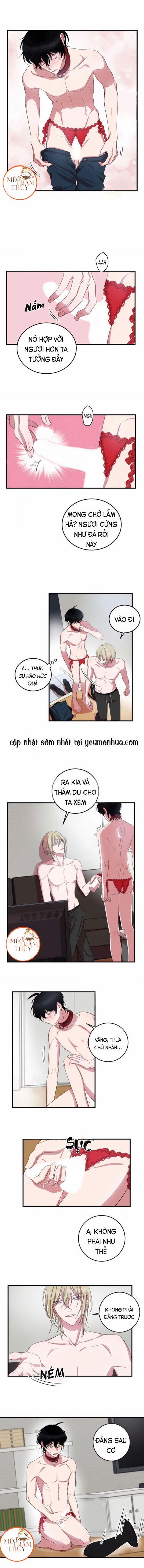 Khẩu Vị Và Sự Tôn Thờ Của Người Yêu Tôi 7 trang 1