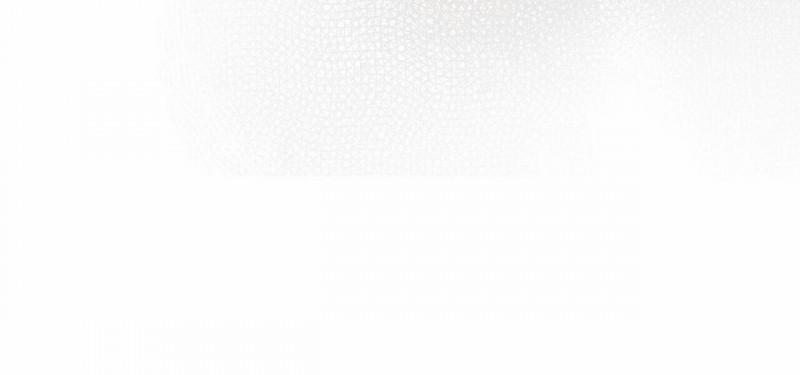 Khế Ước Vĩnh Cửu 17 trang 51