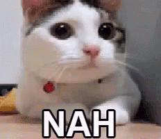 Khi bé Loli thả thính Oneshot trang 23