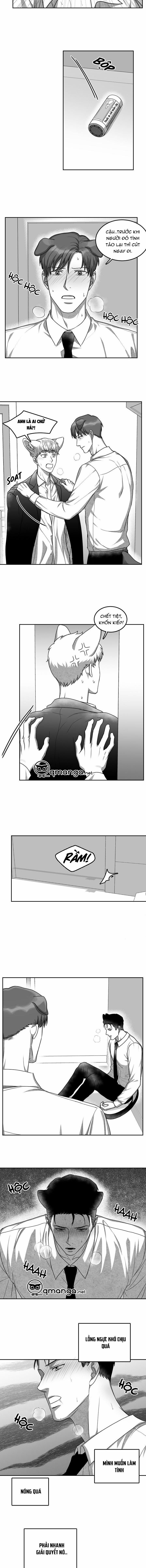 Khi Cún Biết Yêu 15 trang 8