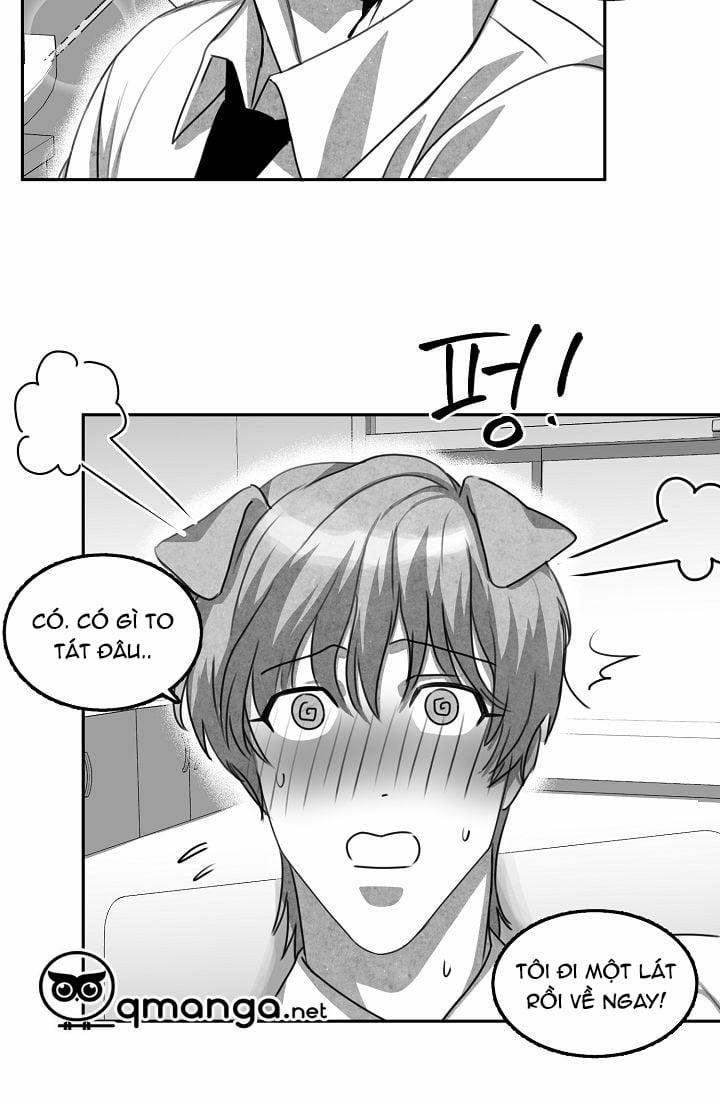 Khi Cún Biết Yêu 2 trang 47