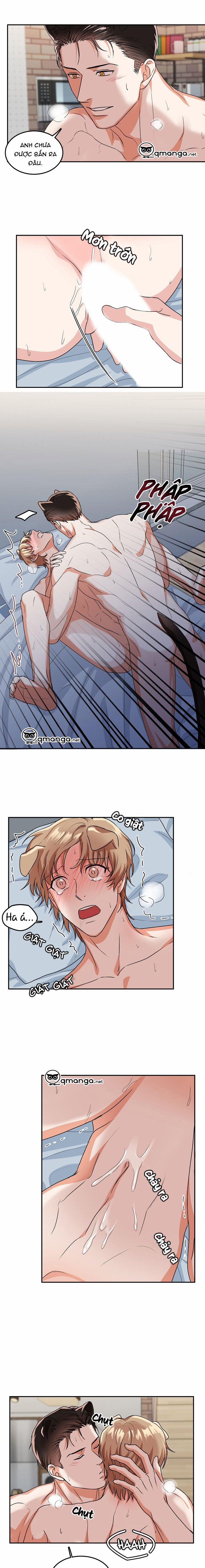 Khi Cún Biết Yêu 21 trang 8