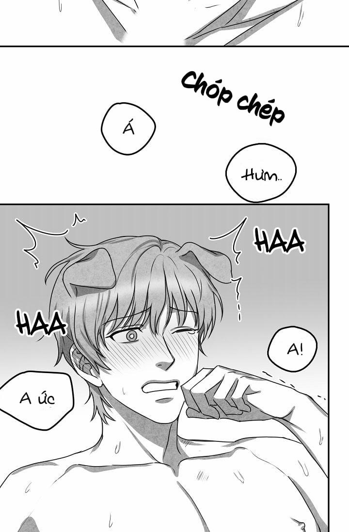 Khi Cún Biết Yêu 25 trang 23