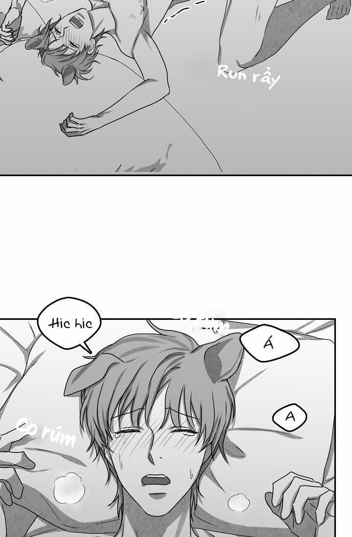 Khi Cún Biết Yêu 25 trang 39