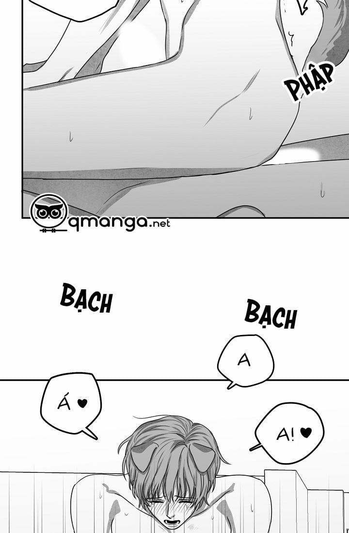 Khi Cún Biết Yêu 25 trang 46