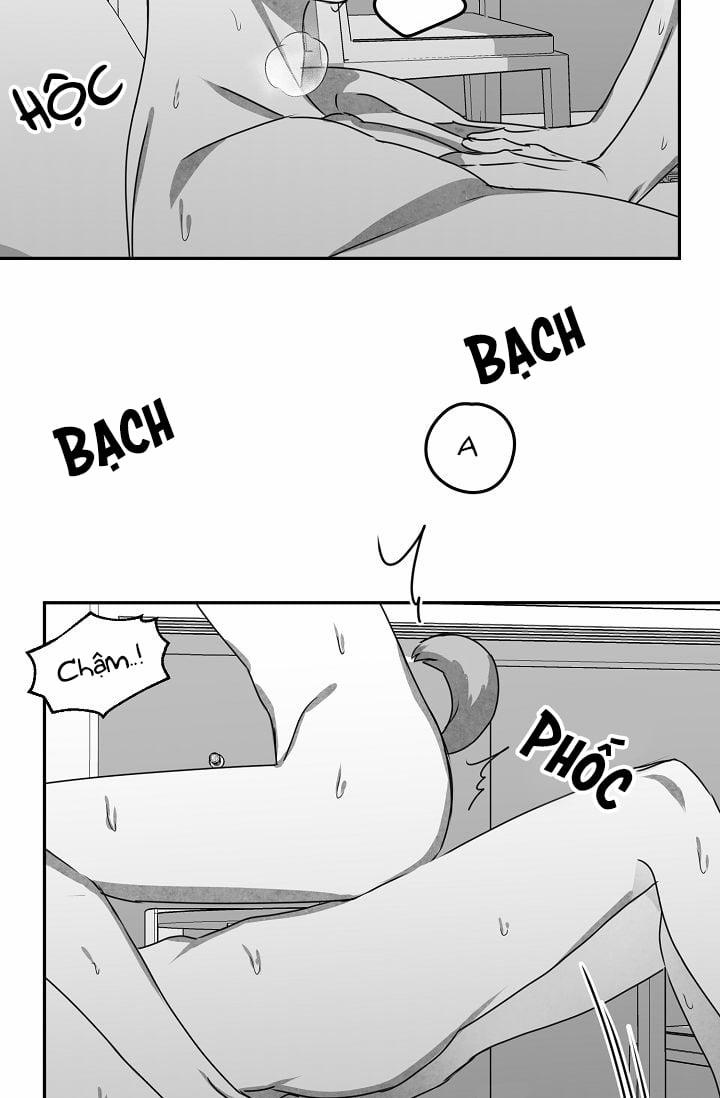 Khi Cún Biết Yêu 25 trang 50