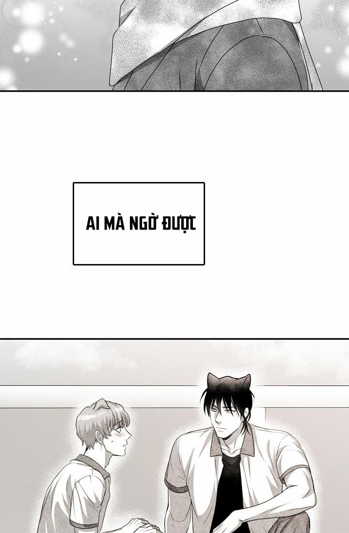 Khi Cún Biết Yêu 25 trang 66