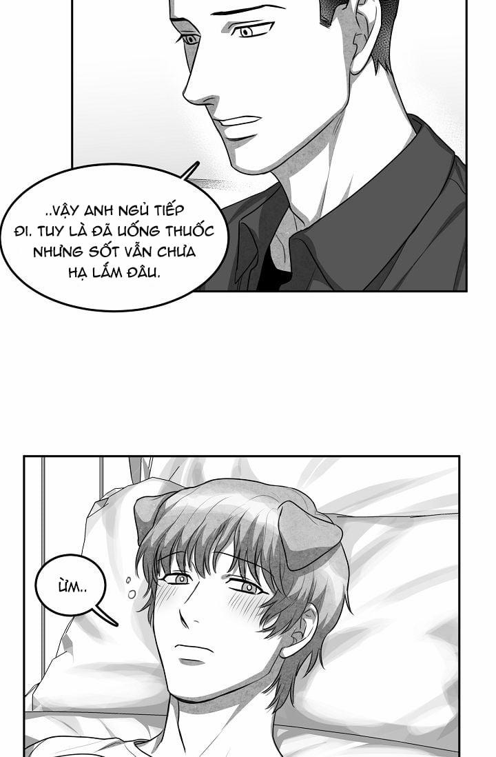 Khi Cún Biết Yêu 7 trang 41