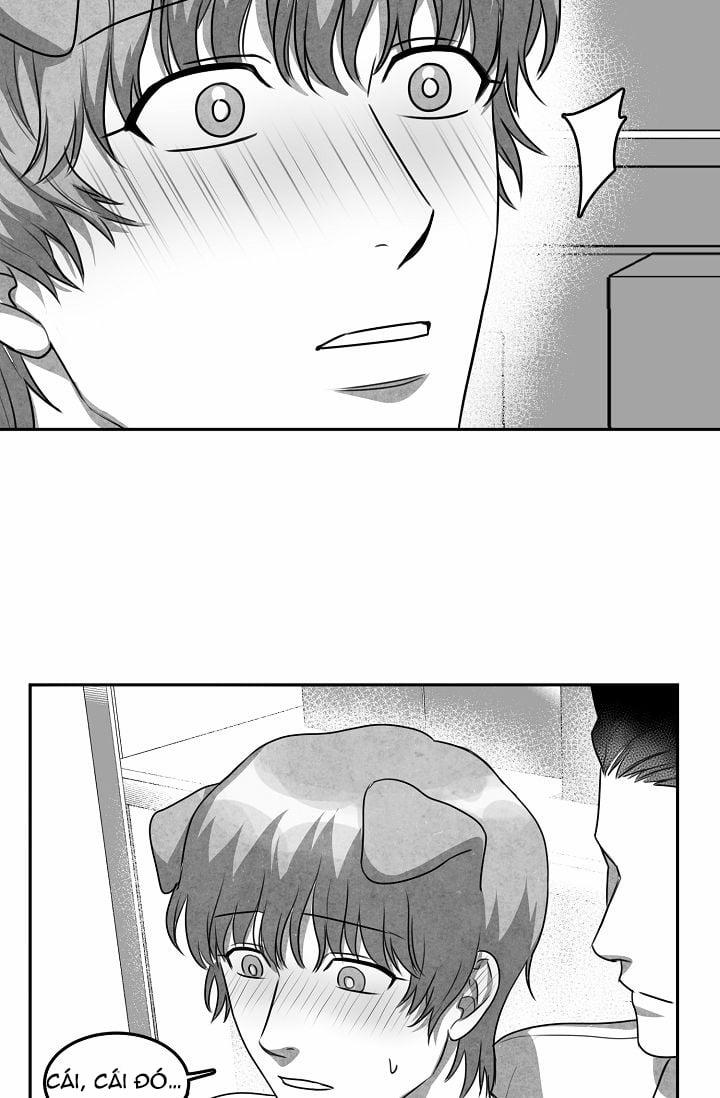 Khi Cún Biết Yêu 8 trang 26
