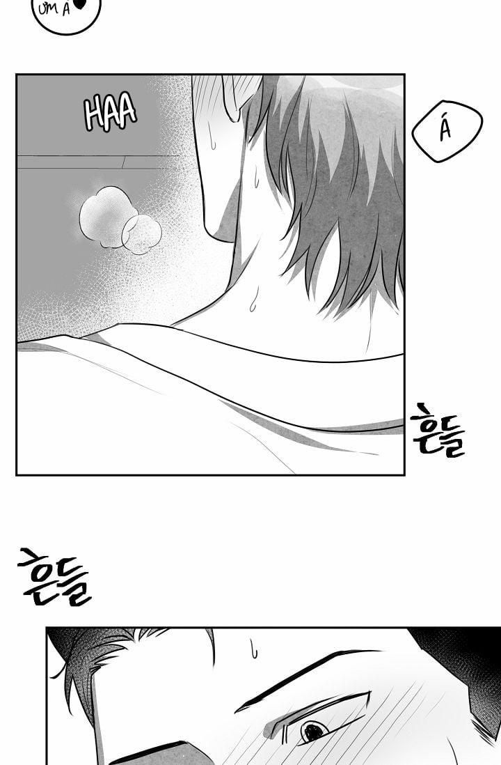 Khi Cún Biết Yêu 8 trang 52