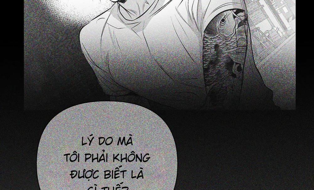 Khi Đôi Chân Thôi Bước 82 trang 164