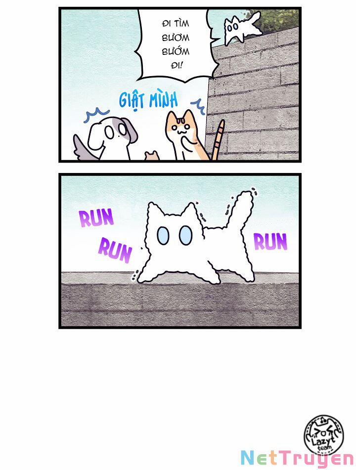 Khi Loài Mèo Làm Bá Chủ Thế Giới 3 trang 9
