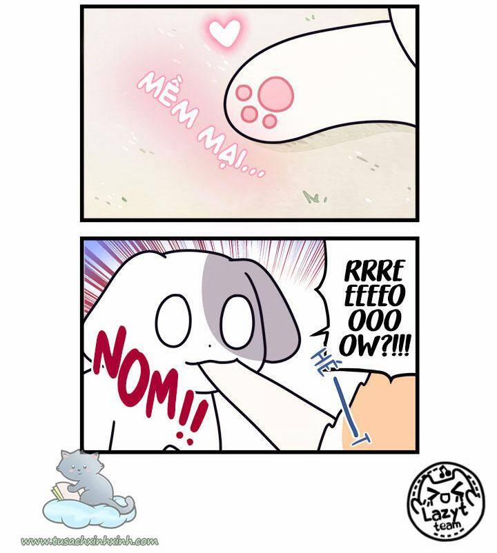 Khi Loài Mèo Làm Bá Chủ Thế Giới 8 trang 6