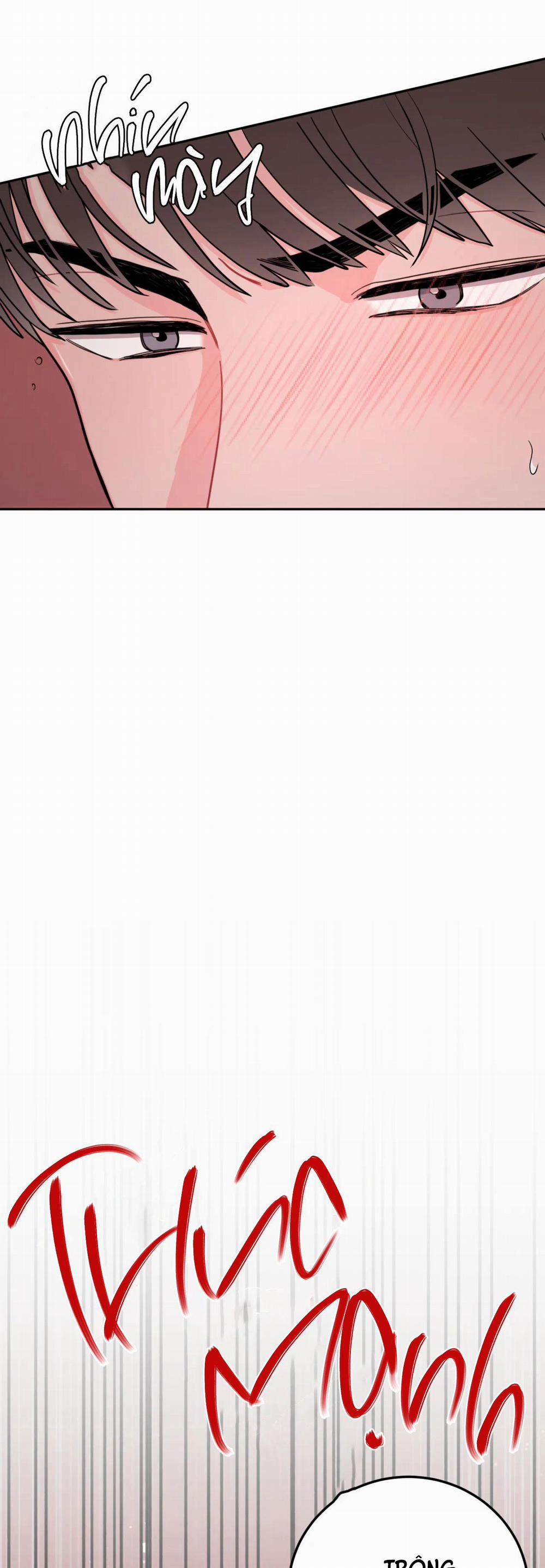 Khoảng Cách Vượt Qua Giới Hạn 29 trang 25