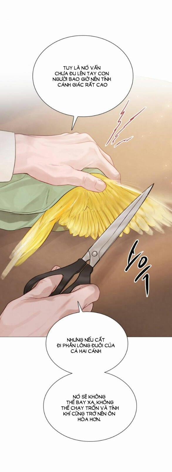 Khóc Đi, Hay Cầu Xin Tôi Cũng Được 11.2 trang 13