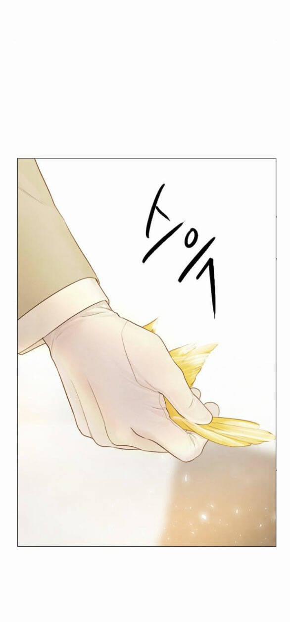 Khóc Đi, Hay Cầu Xin Tôi Cũng Được 11.2 trang 21