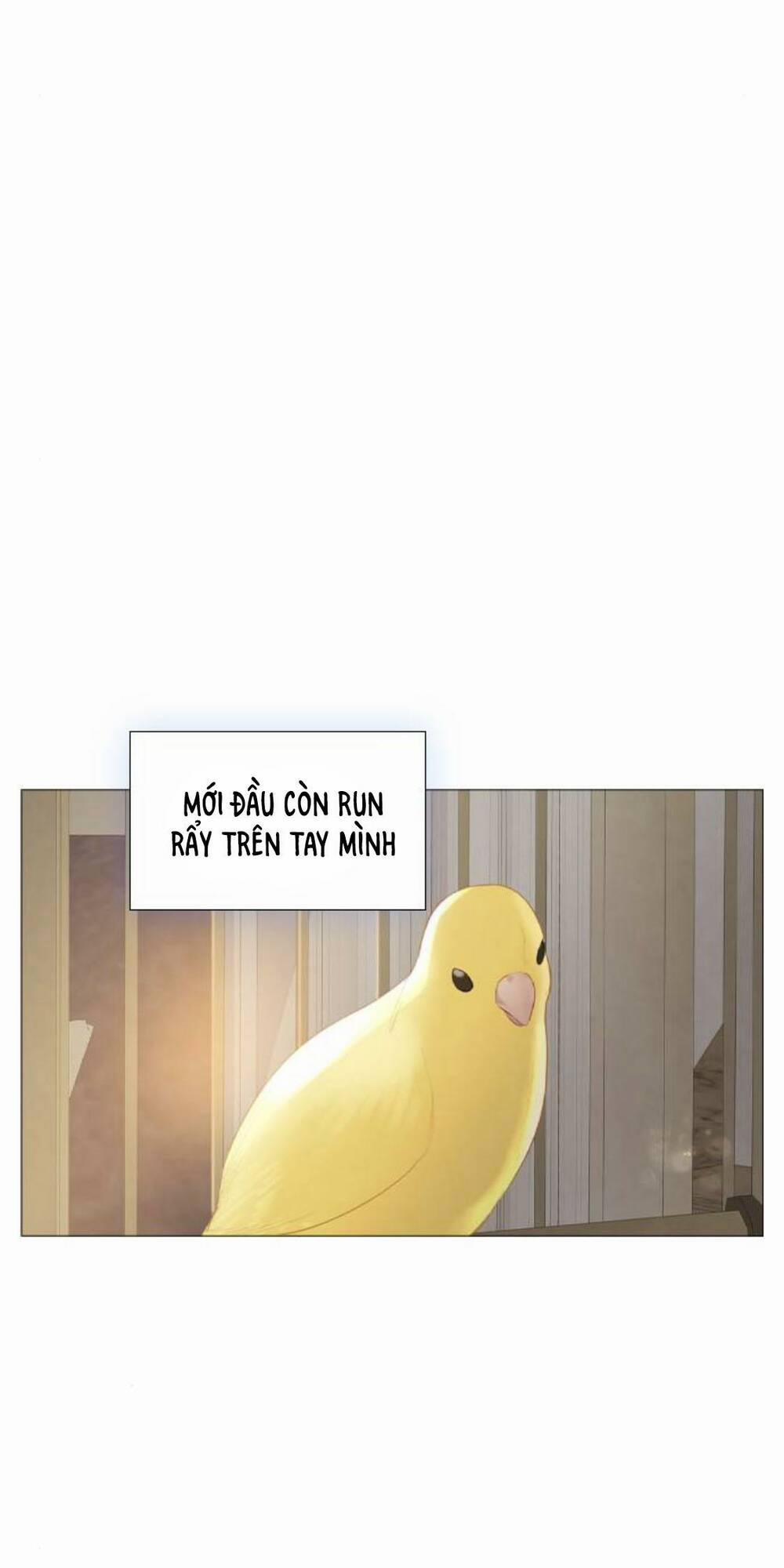 Khóc Đi, Hay Cầu Xin Tôi Cũng Được 16 trang 51